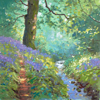 River Creek And Stream