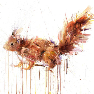 Wildlife