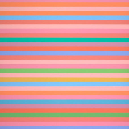 Bridget Riley Artwork
