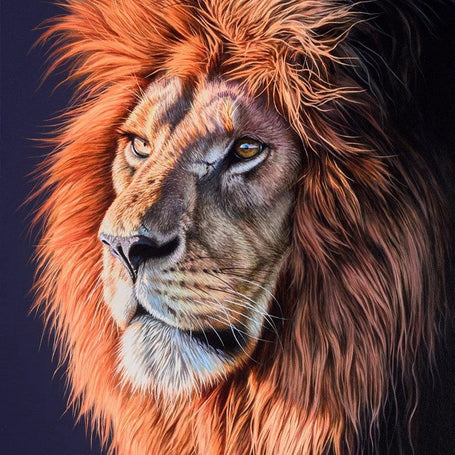 Darryn Eggleton Artwork