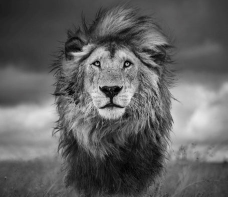 Harry Skeggs Artwork