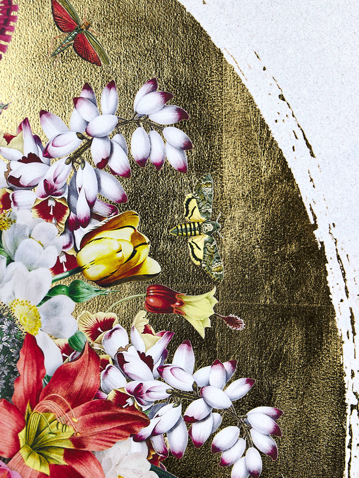 Nature's Alchemy I