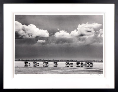 The Crossing