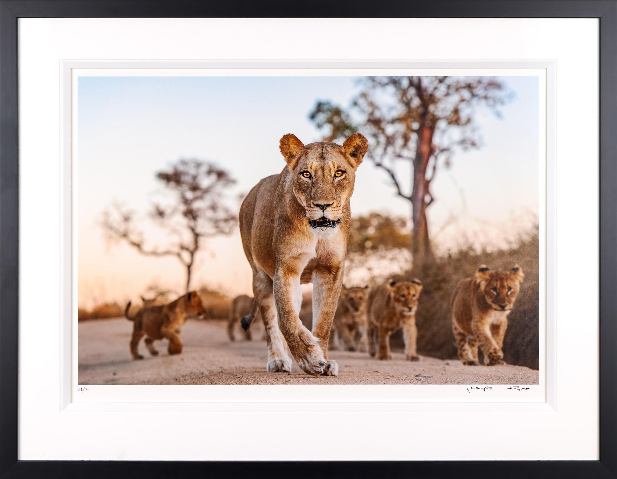 Mother's Pride