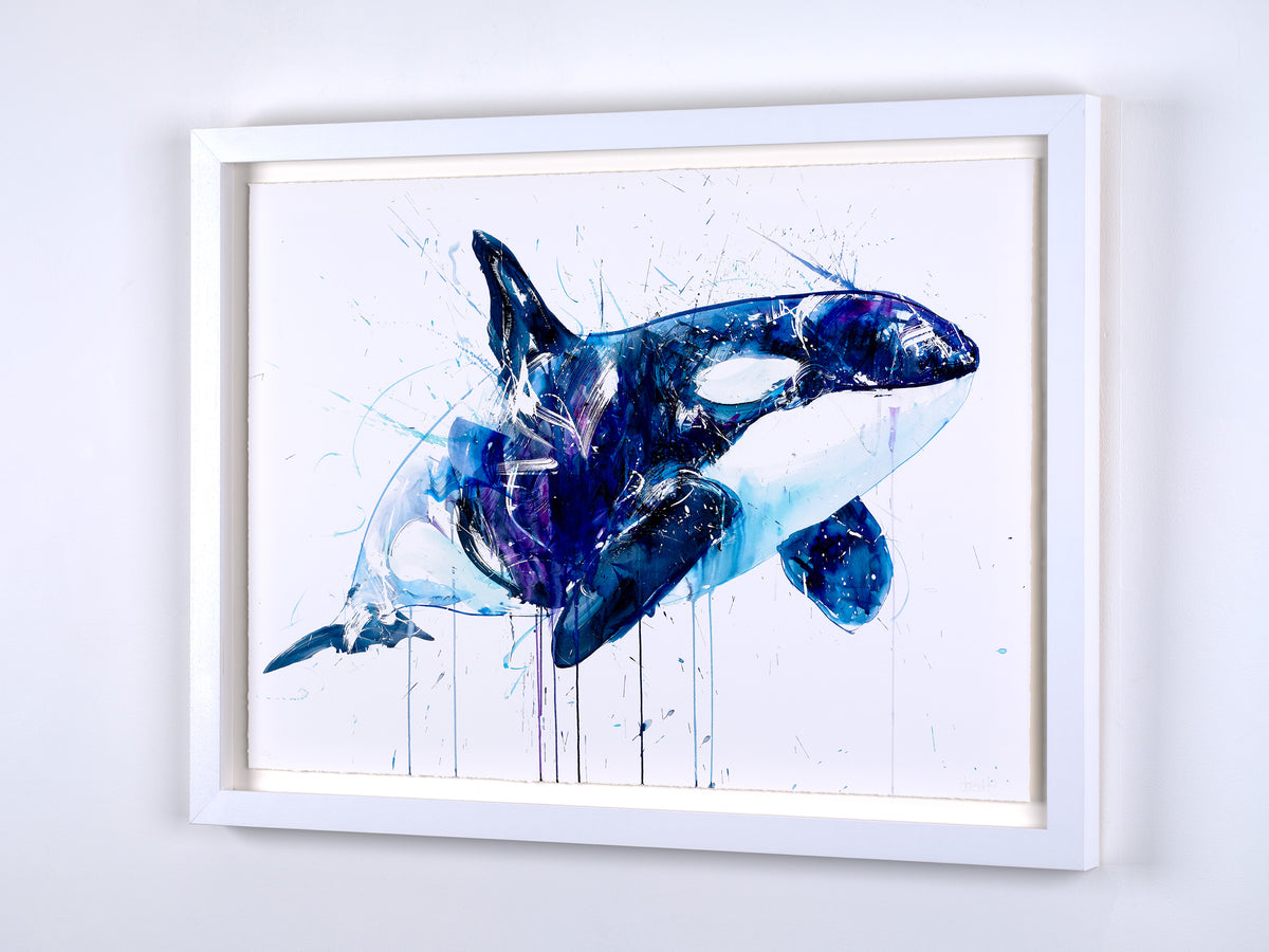 Orca