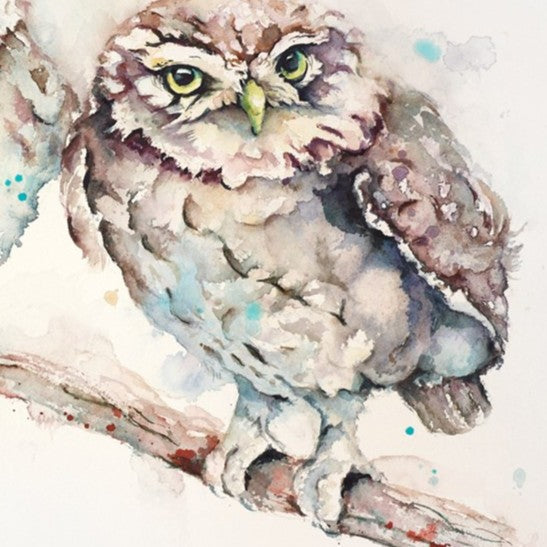 A Dapper Duo- Little Owls