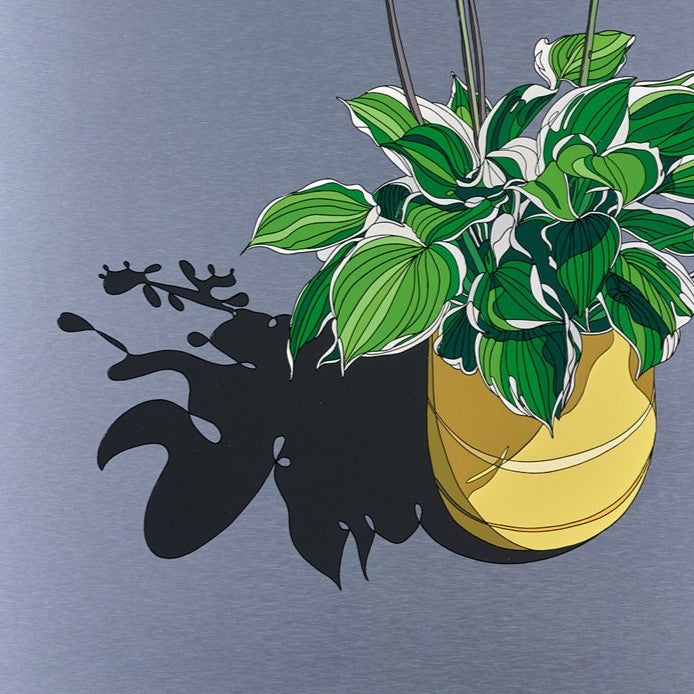 Hosta