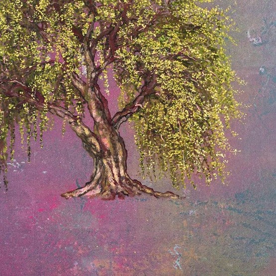 Weeping Willow