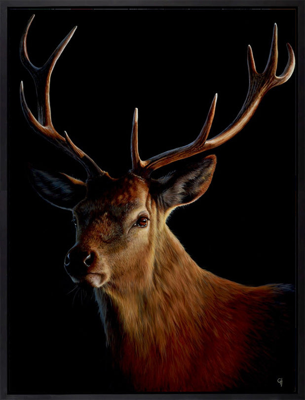 Stag III