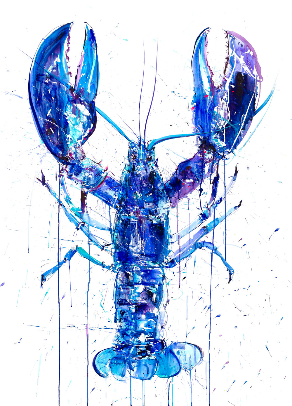 Blue Lobster
