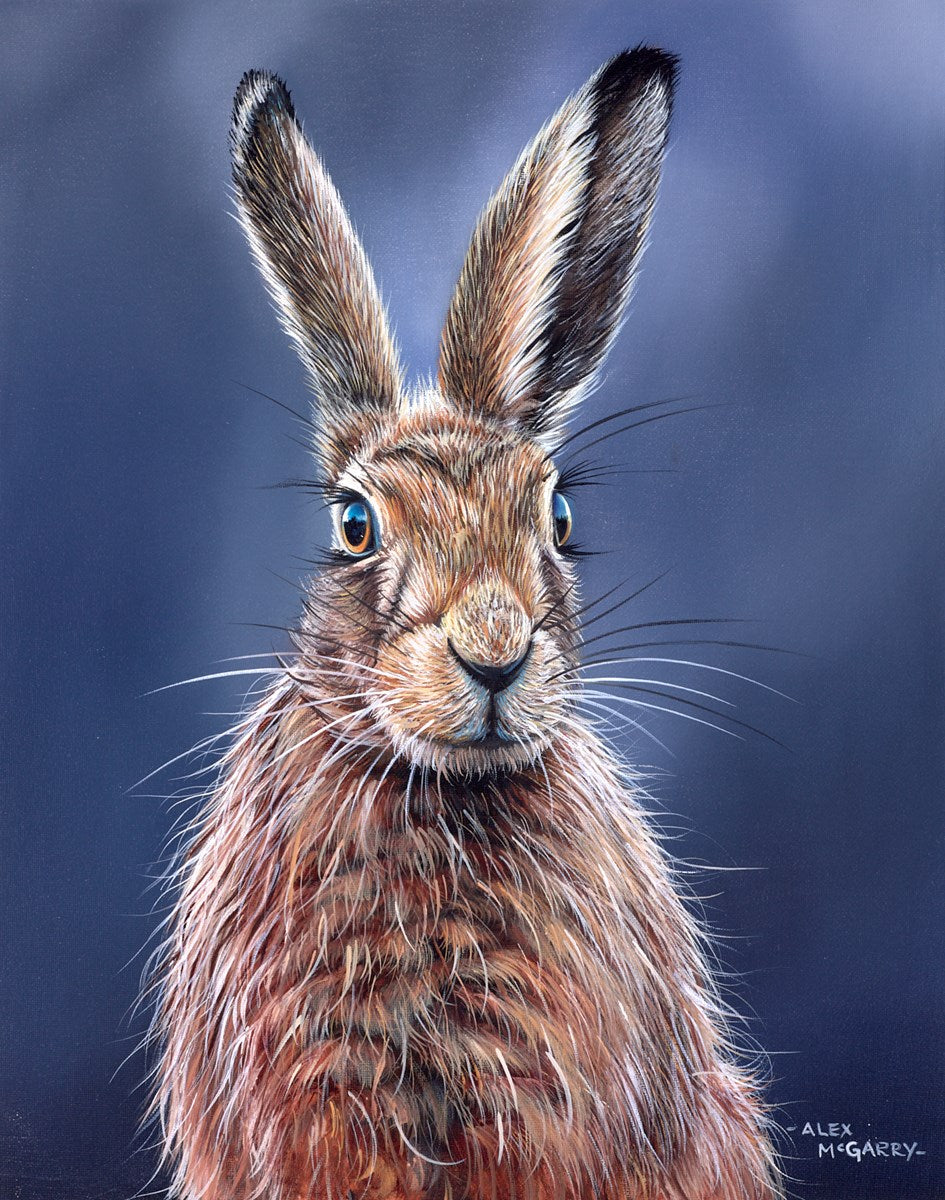 British Hare