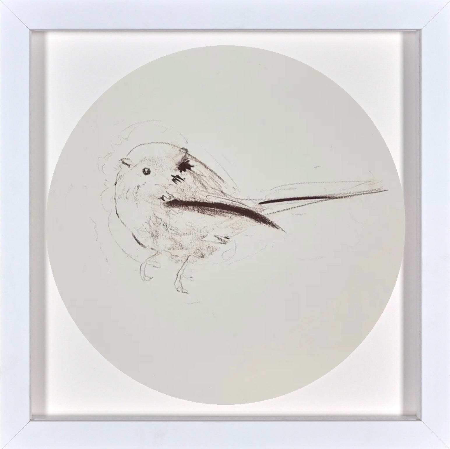 Long Tailed Tit Sketch