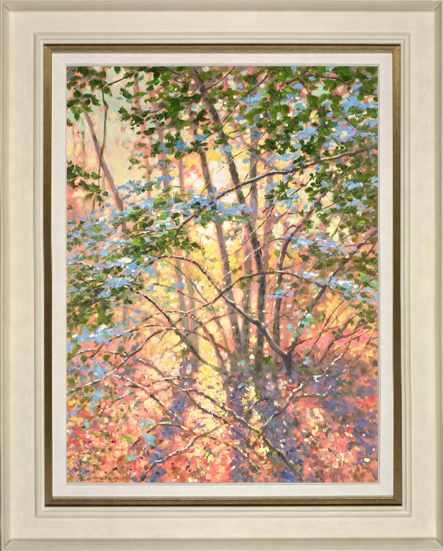 Morning Sunlight (Wood)