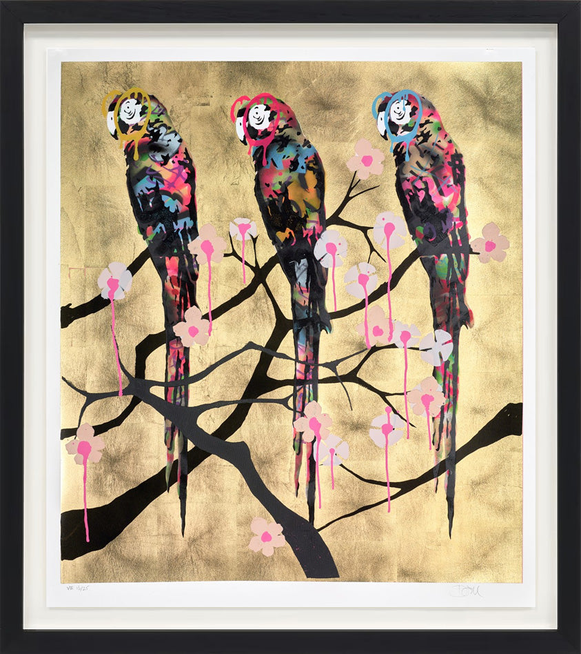 Polly Folly 16/25