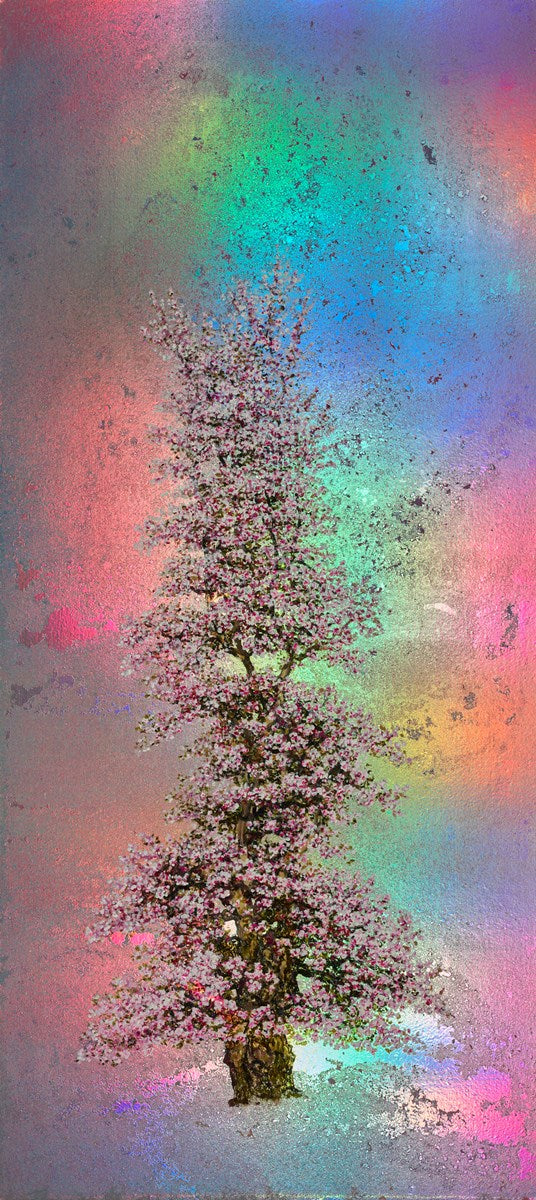 Penelope, Rainbow Blossom