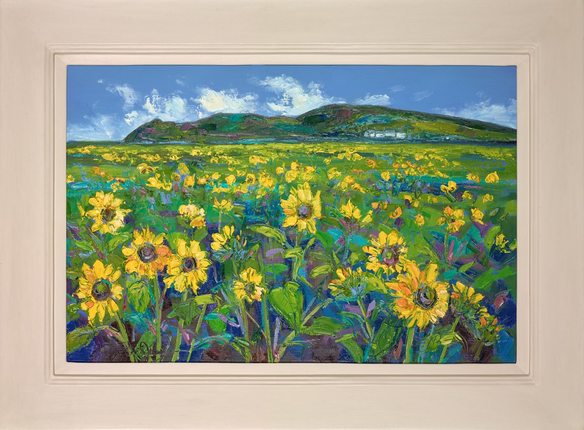 Sunflowers at Rhossili , Gower Peninsula