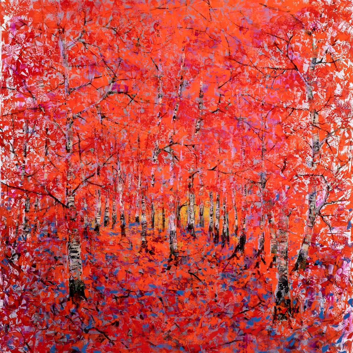 Through The Dark Birches