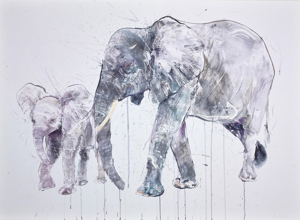Elephant and Calf