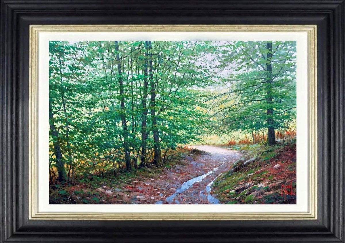 Caminando por el GR11, Transpirenaica (Framed)
