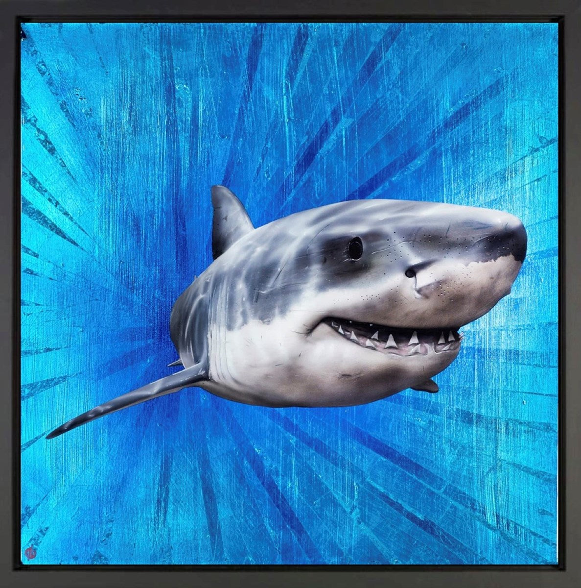 Warp Speed (Framed)