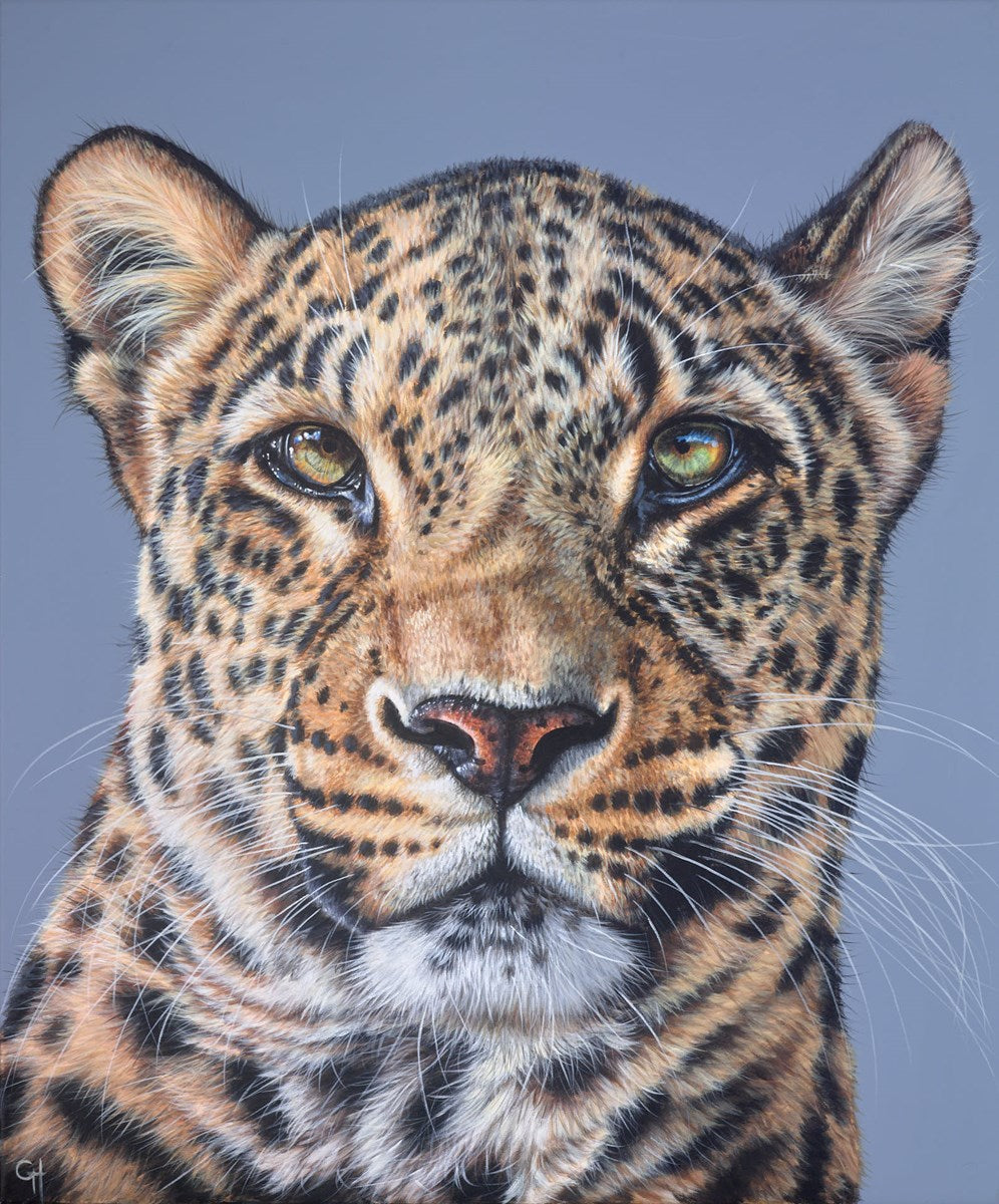 Leopard Stare II