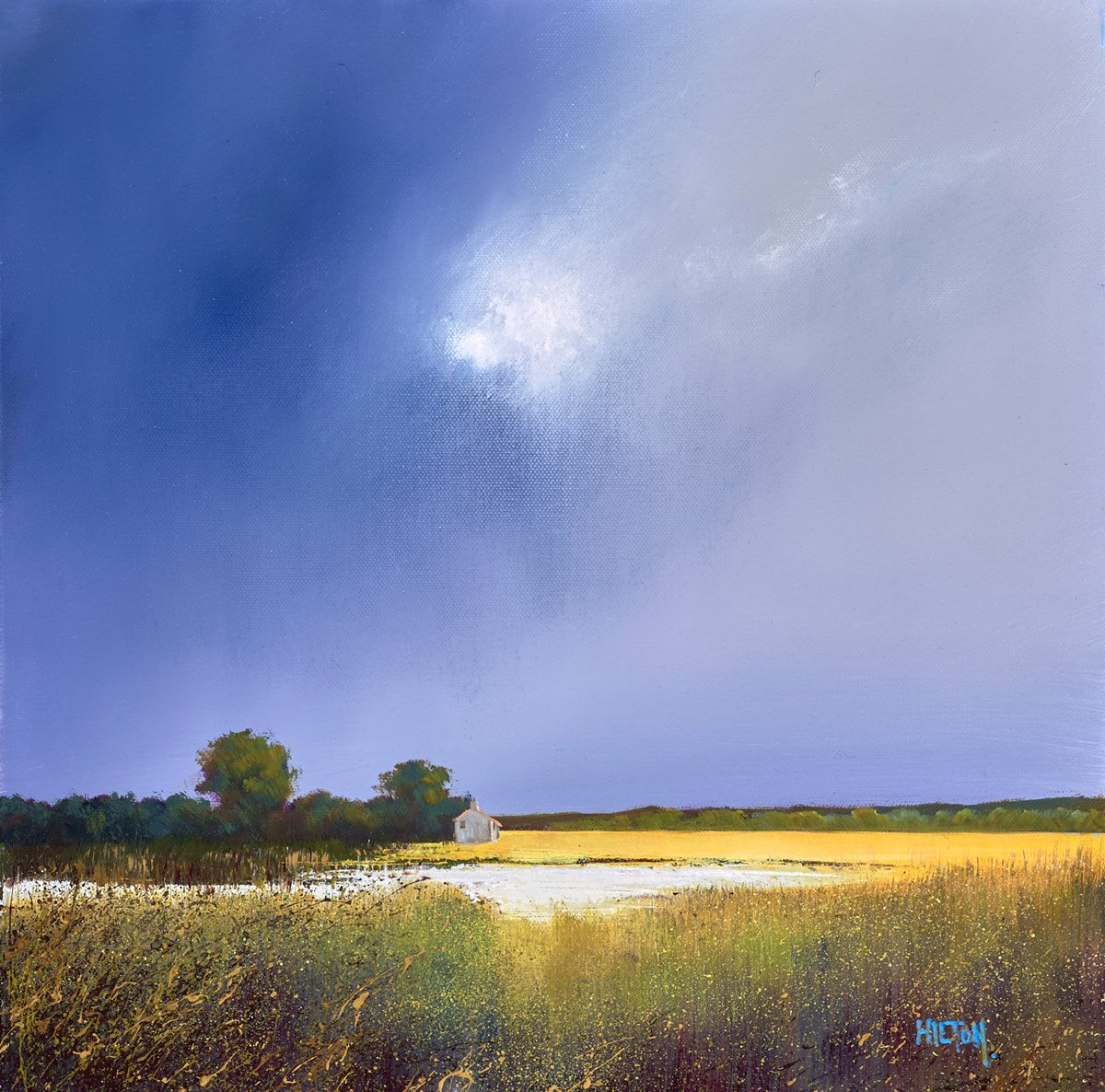 Water Hole