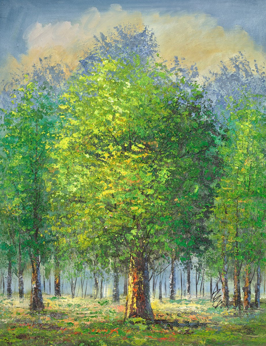 Summer Woodland