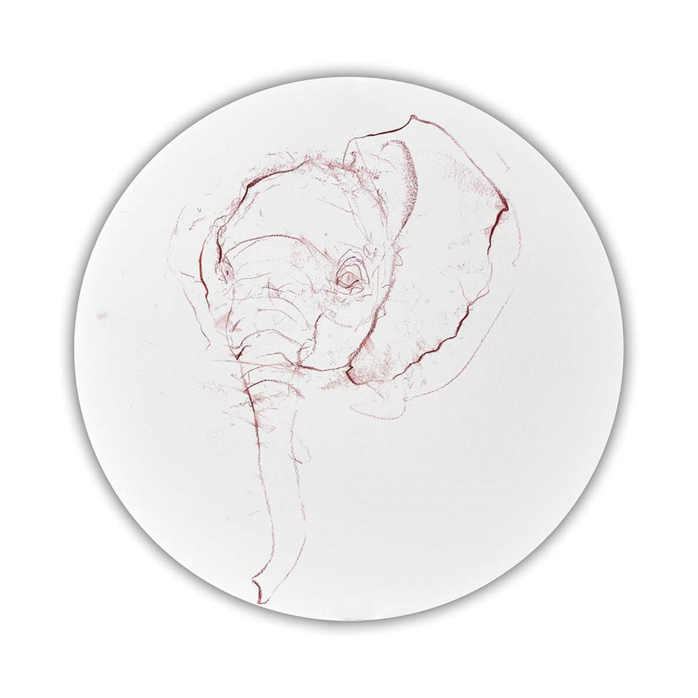 Elephant Study II