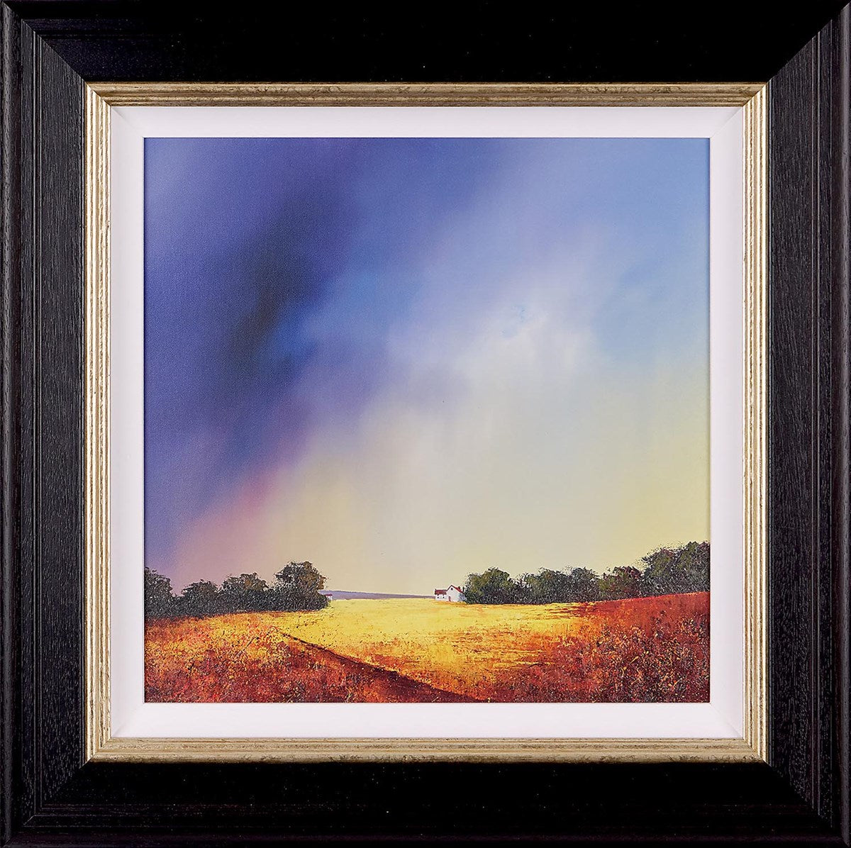 Evening Glow (Framed)