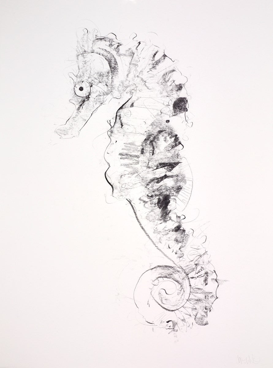 Seahorse