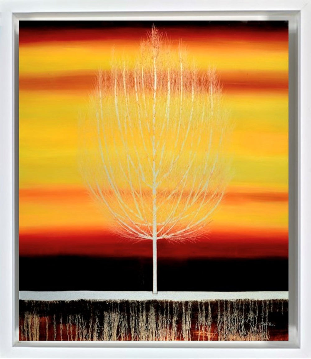 Sunset Silent Grove (Framed)