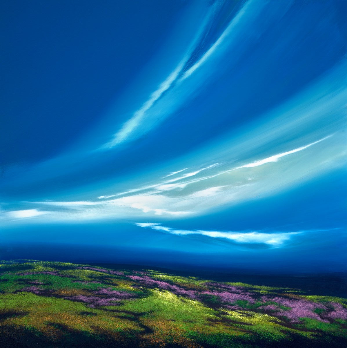 Moorland and Blue Sky IV