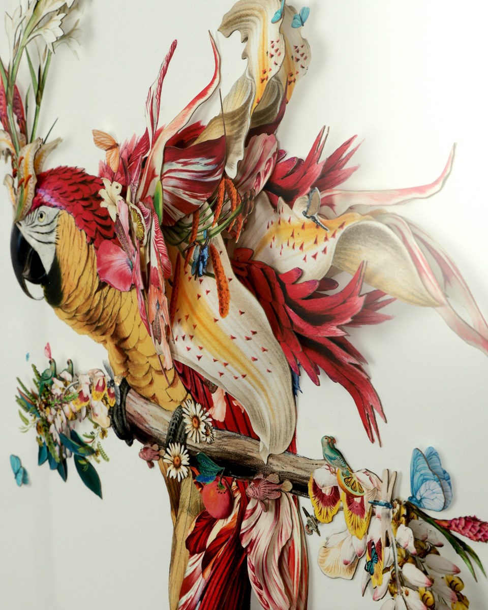 Botanical Harry Gin Bird II (Detail1)