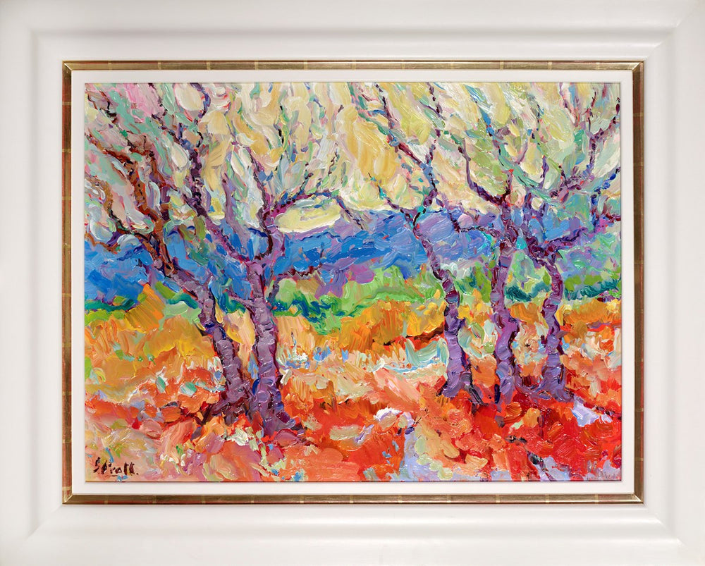 Saint Romaine Olive Trees