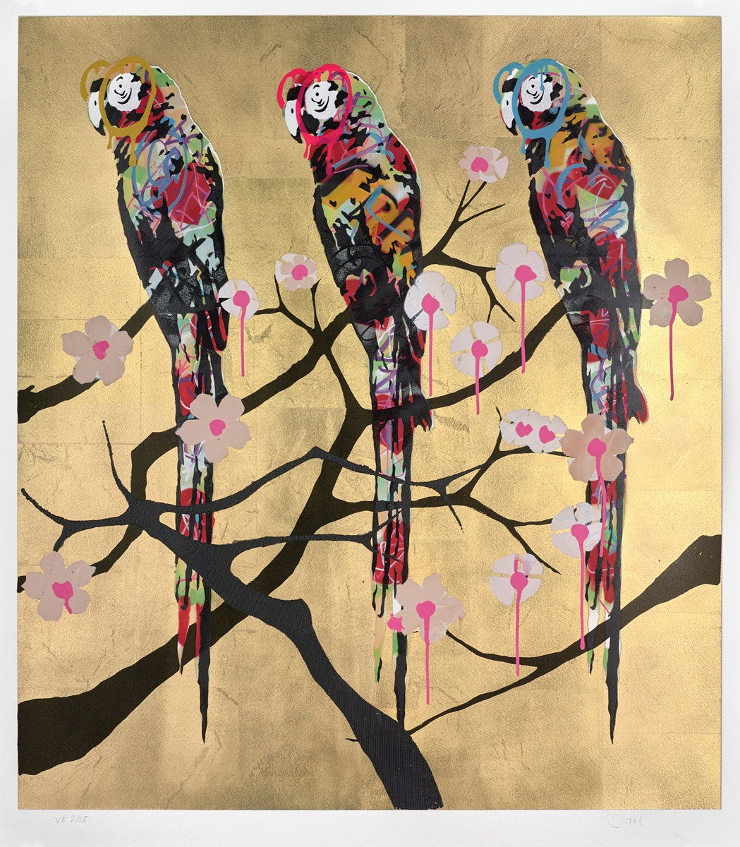 Polly Folly 2/25