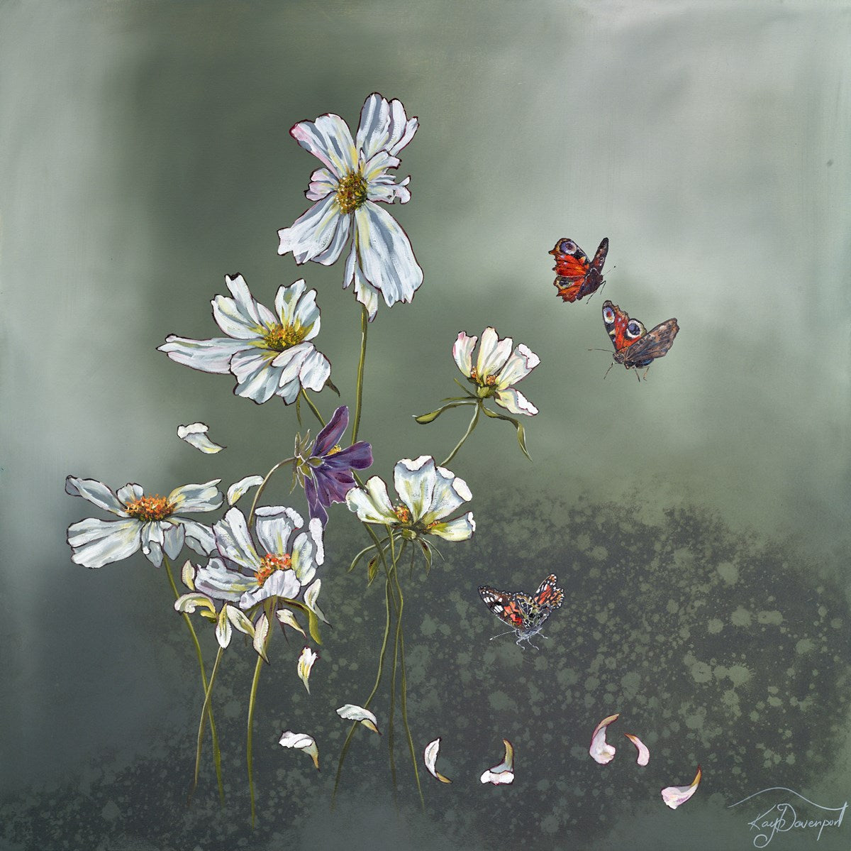 Wild Cosmos