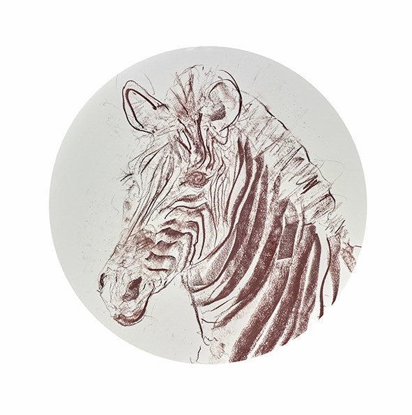 Grevy's Zebra Sketch II