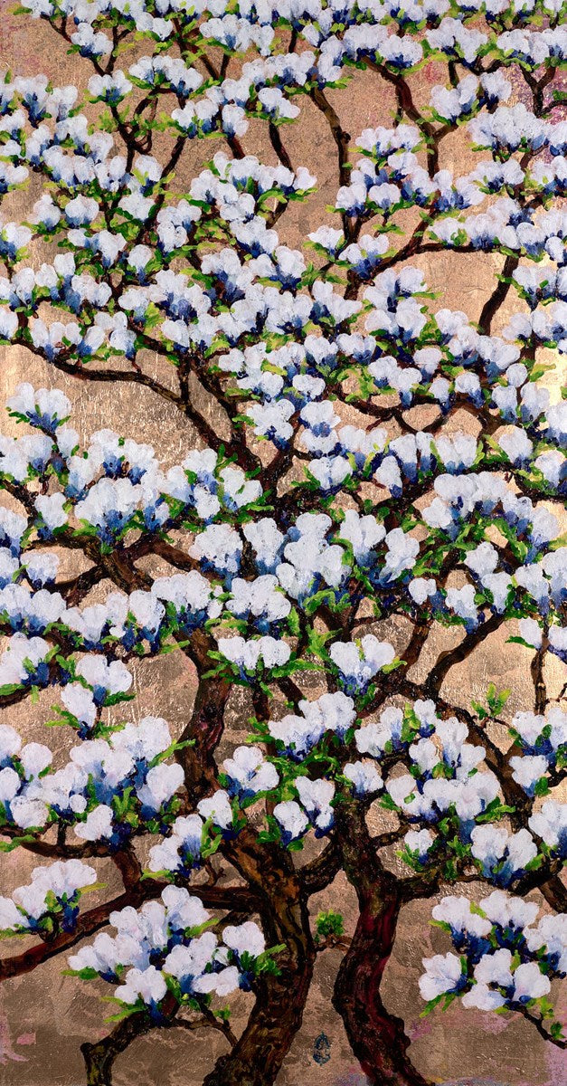 Blue Magnolia