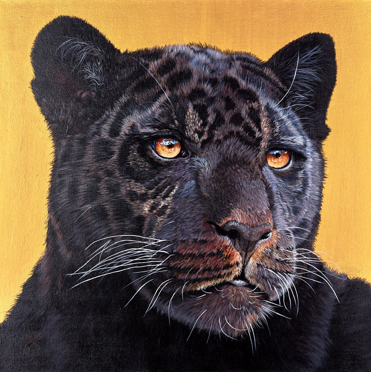Black Magic II