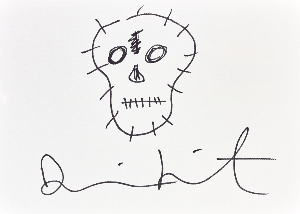 Skull Sketch