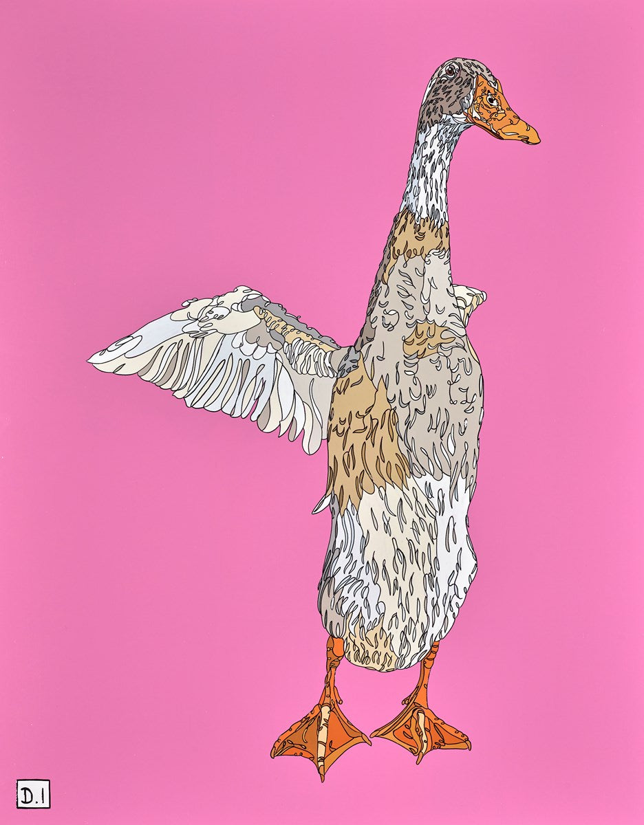 Runner Duck on Pink
