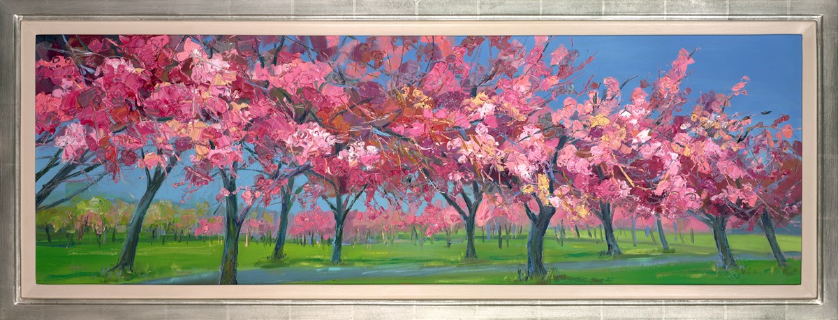 Blossom Time At the Meadows