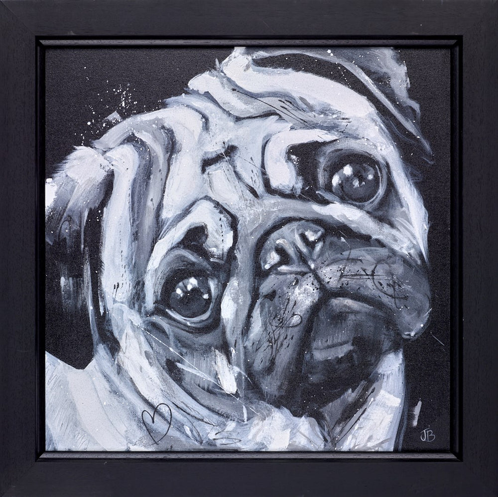 Diamonds are a Pug's Best Friend