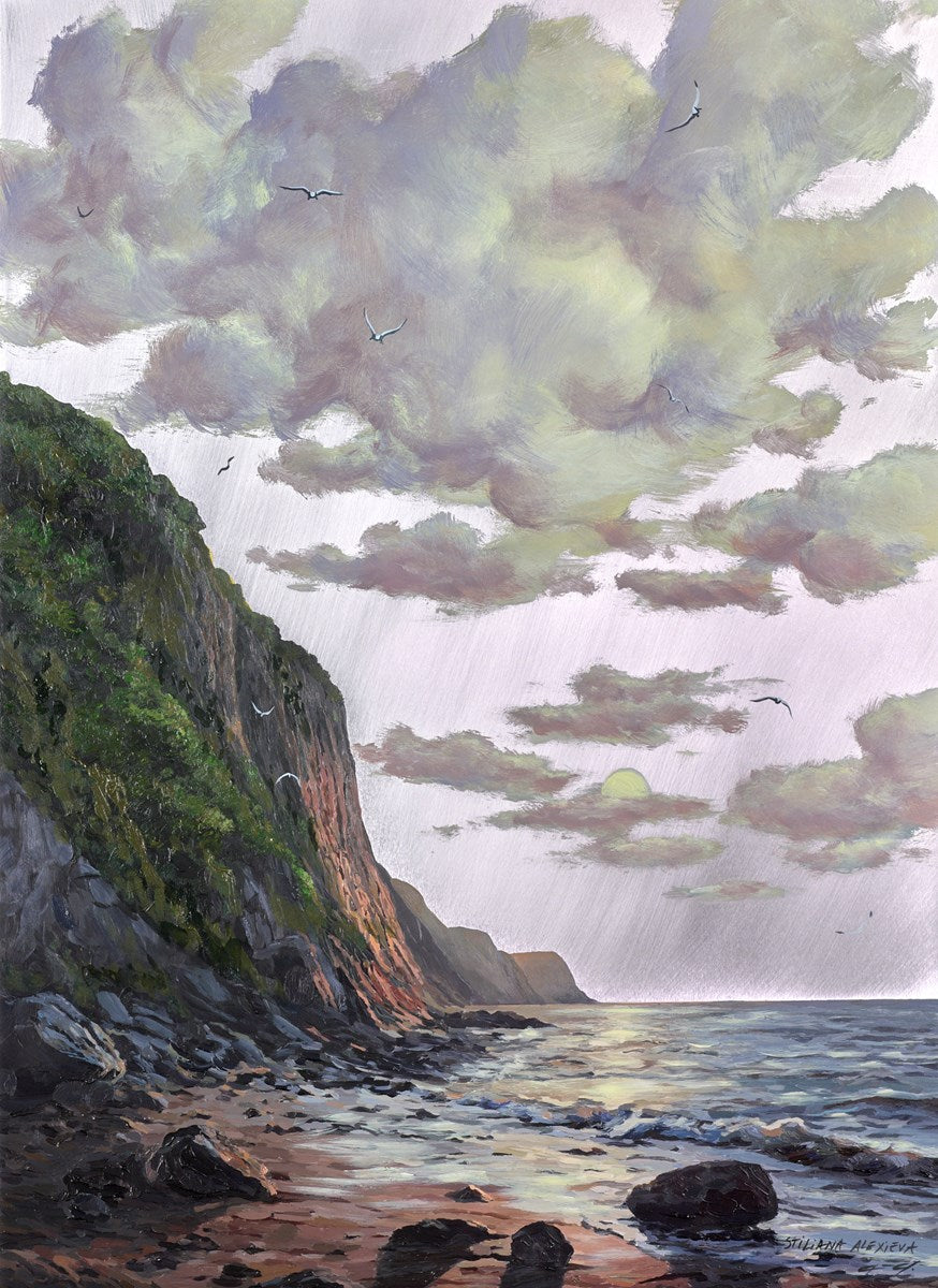 Untamed Coast
