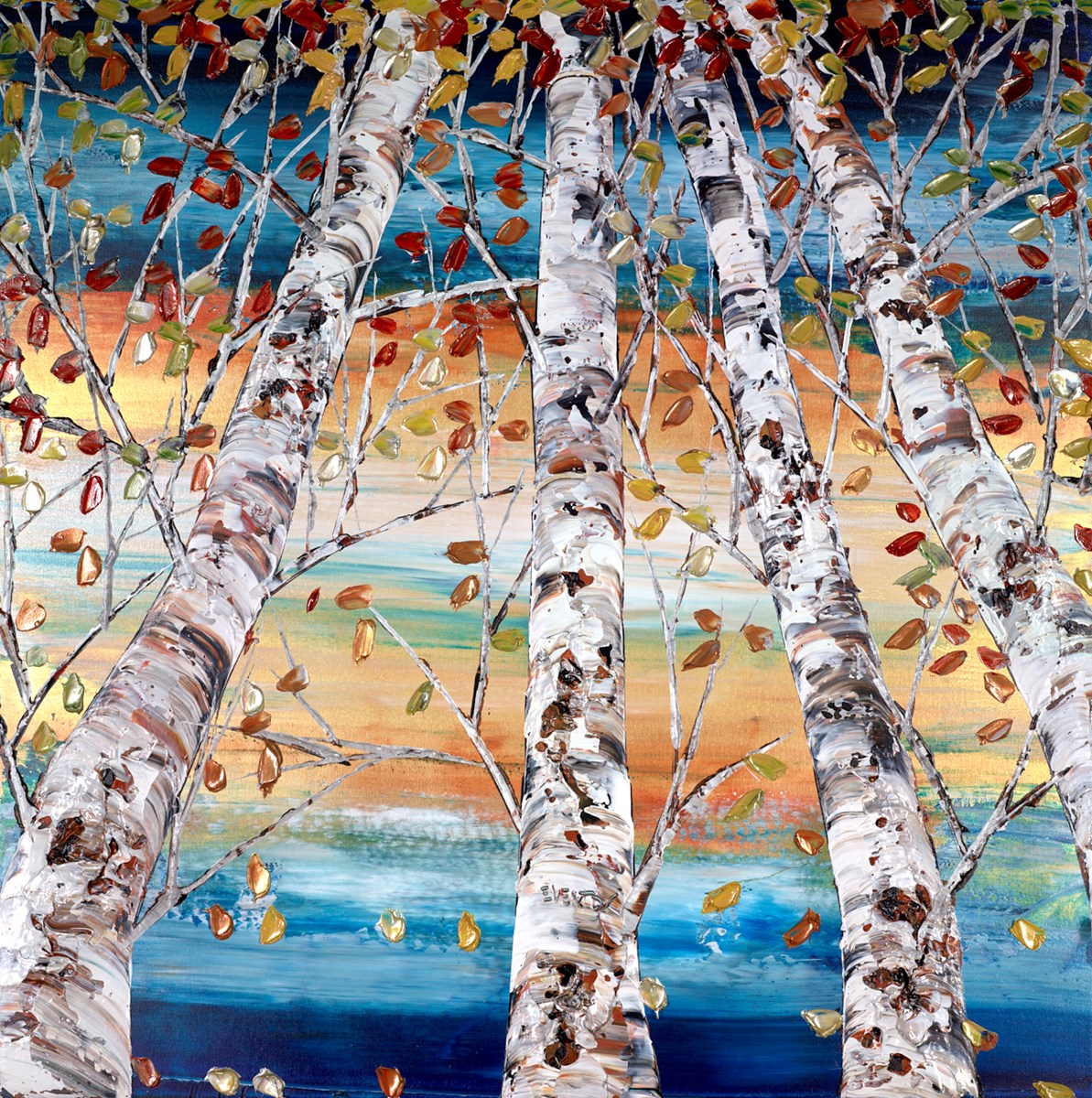 Silver Birch in Autumn