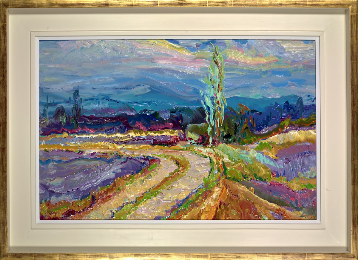 Lavender Above Aurel