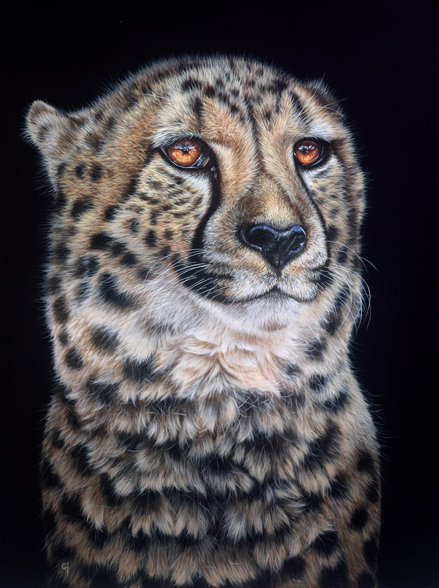 Cheetah