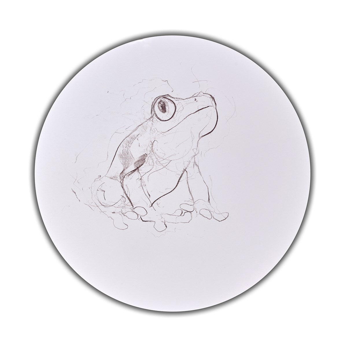 Tree Frog Study II