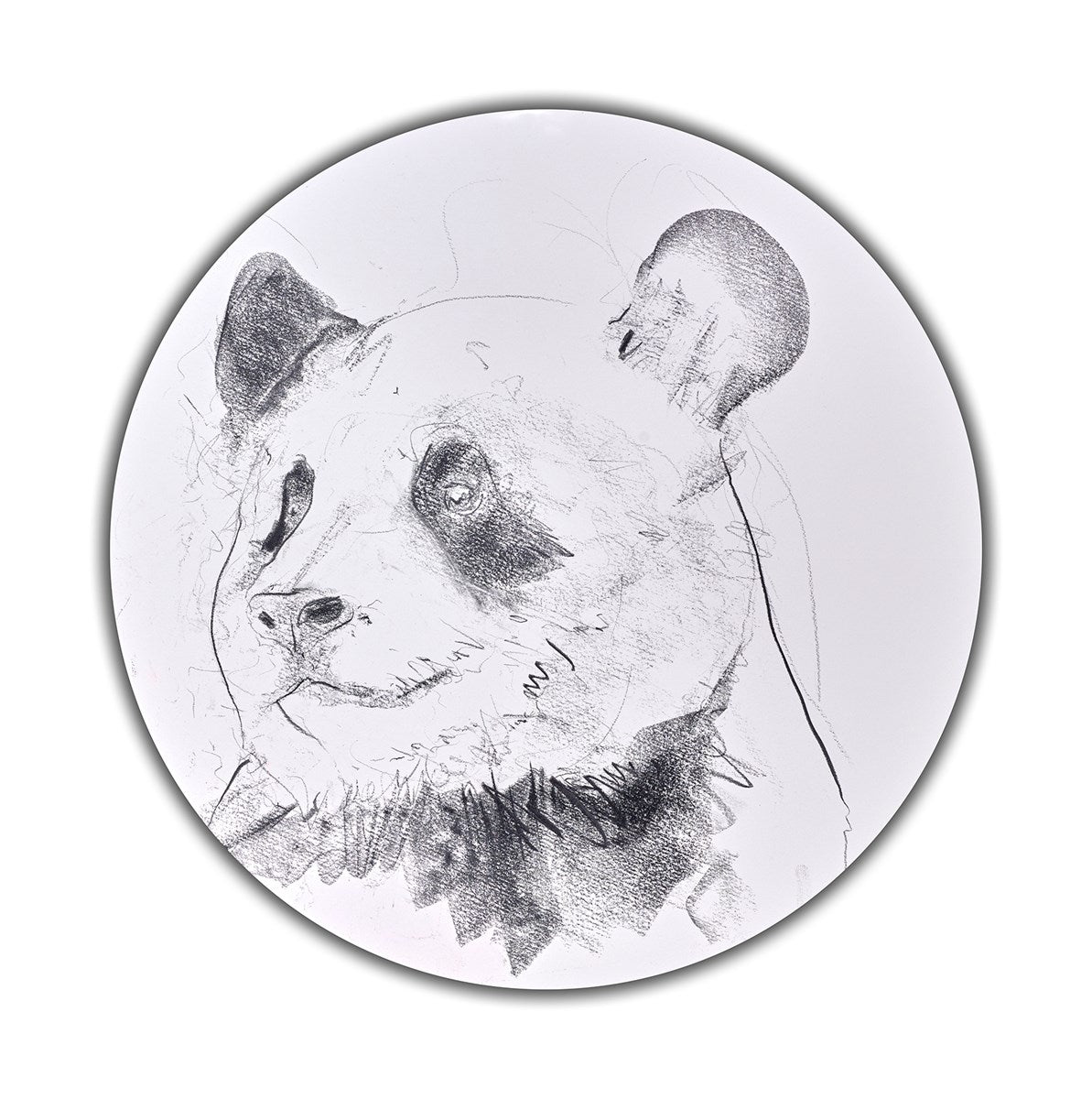 Giant Panda Study III