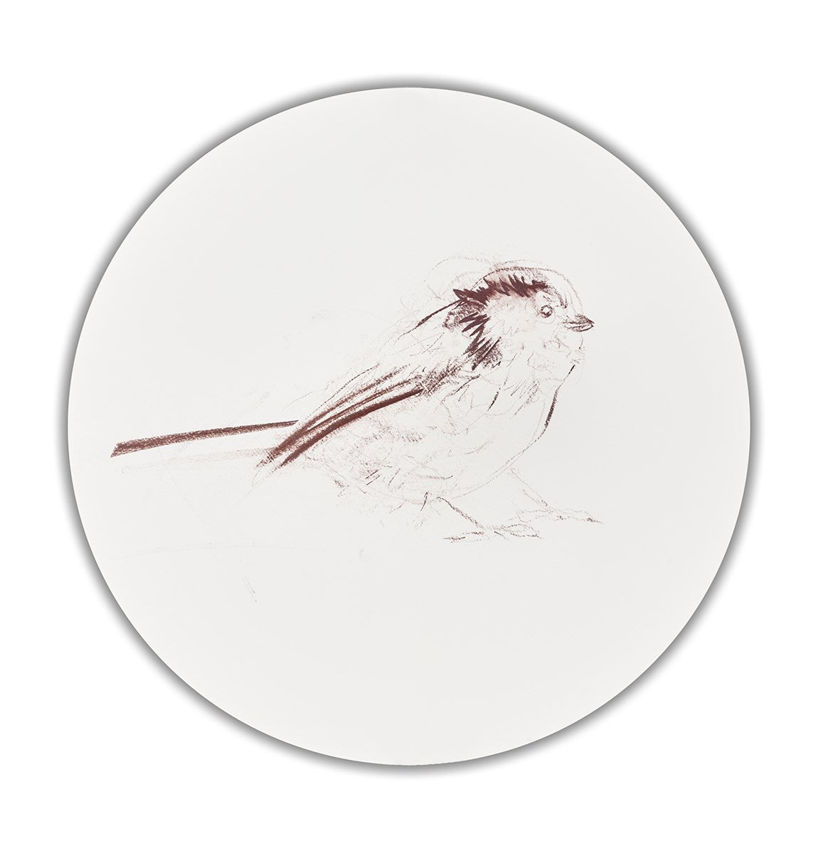Long Tailed Tit Sketch VI